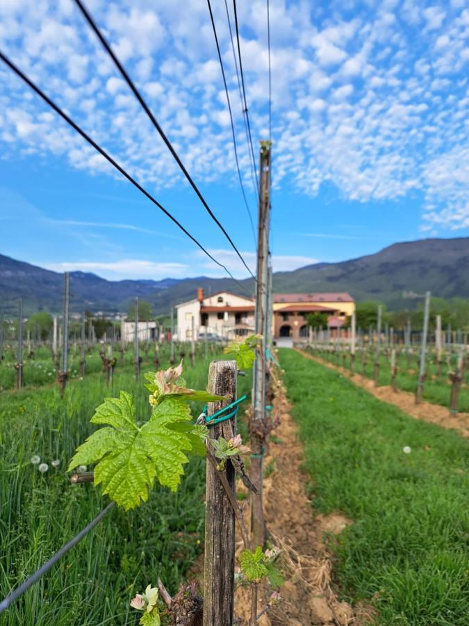 Posestvo Rouna - Winery And Apartments Випава Экстерьер фото