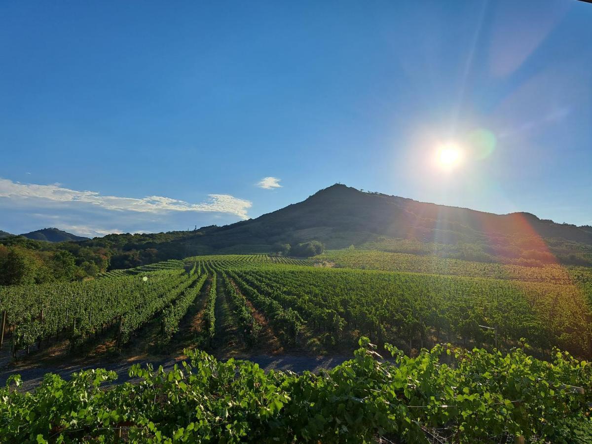 Posestvo Rouna - Winery And Apartments Випава Экстерьер фото