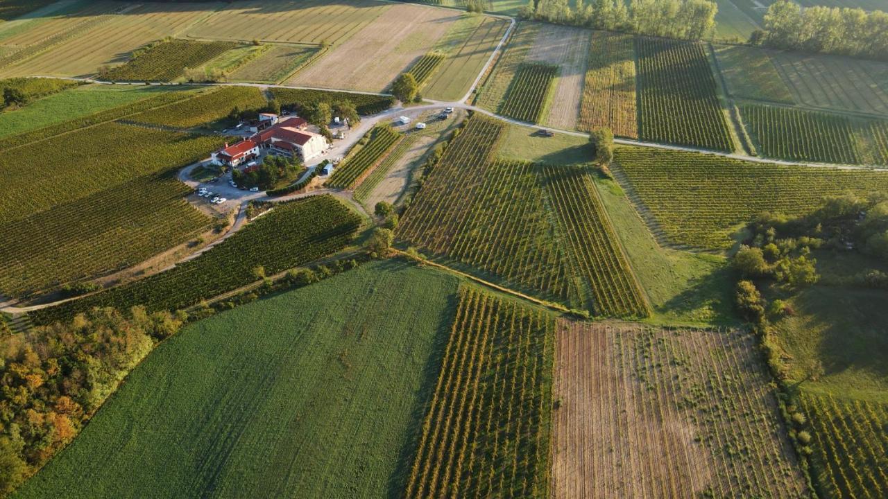 Posestvo Rouna - Winery And Apartments Випава Экстерьер фото